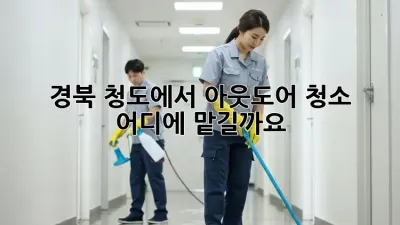 경북 청도에서 아웃도어 청소, 어디에 맡길까요?