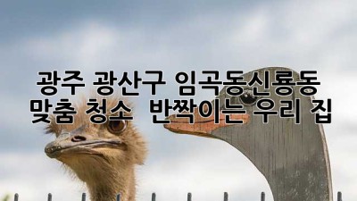 ✨ 광주 광산구 임곡동/신룡동 맞춤 청소, ✨ 반짝이는 우리 집 ✨
